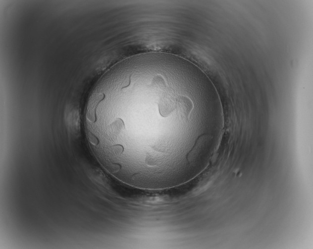 X0000089730646200707051739