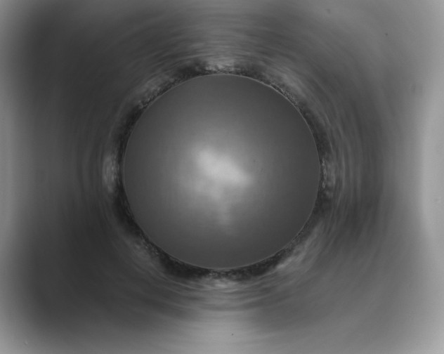 X0000089730648200707051740