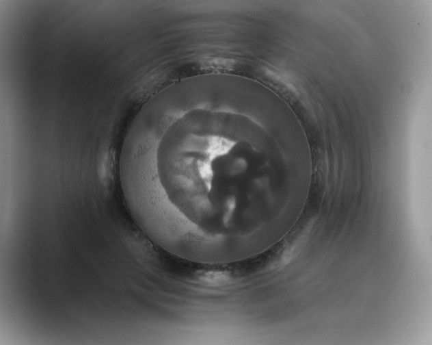 X0000089730649200707051740