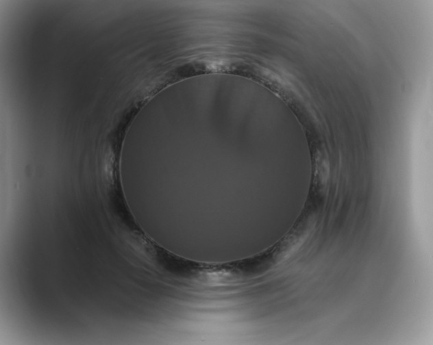 X0000089730650200707051740