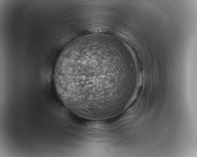 X0000089730652200707051740