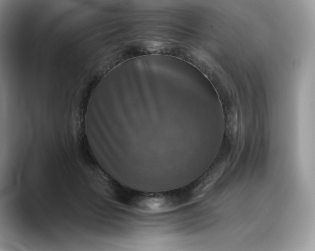 X0000089730653200707051740