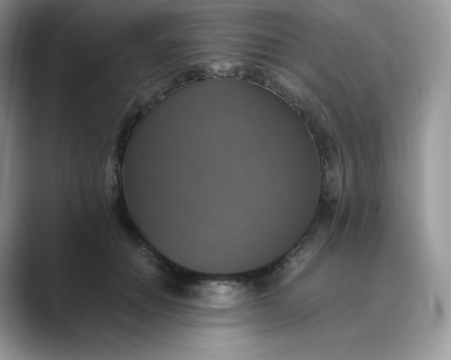 X0000089730654200707051740