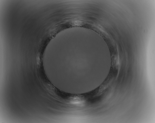 X0000089730655200707051740