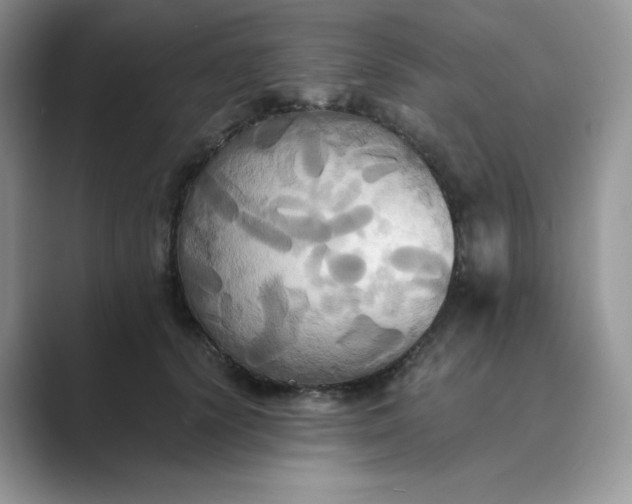 X0000089730656200707051740