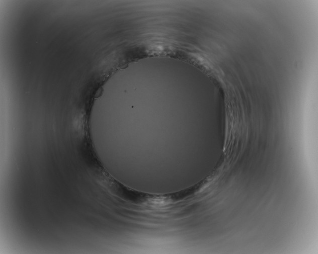 X0000089730659200707051740