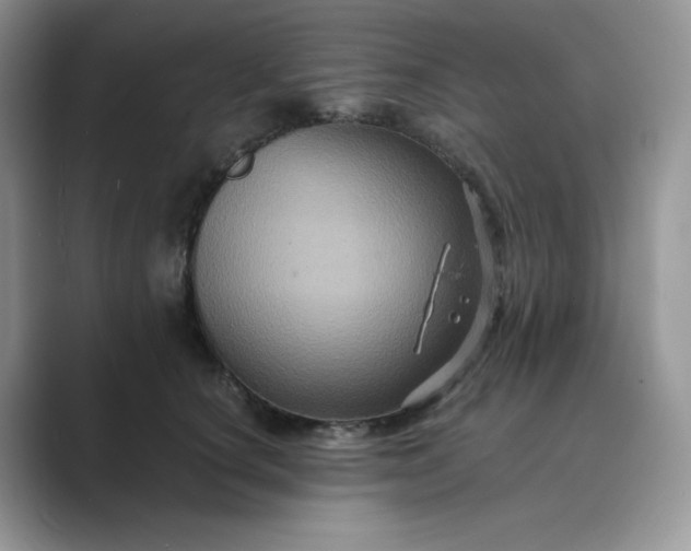 X0000089730660200707051740