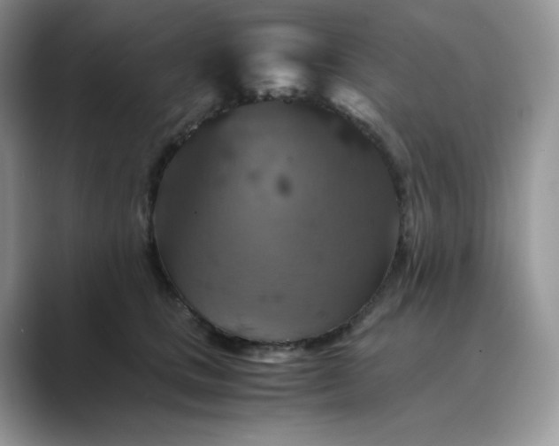 X0000089730661200707051740