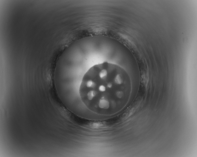 X0000089730662200707051740