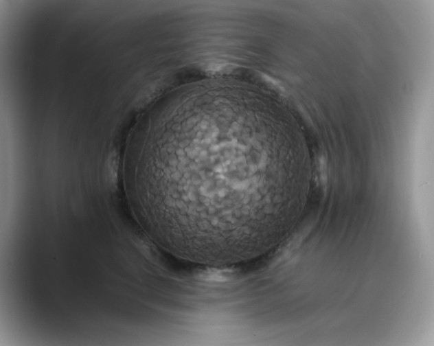 X0000089730664200707051740