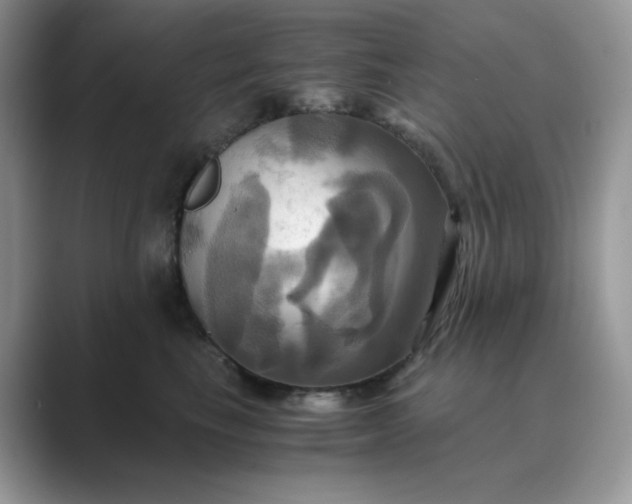 X0000089730665200707051740