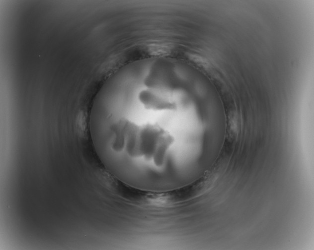X0000089730667200707051740