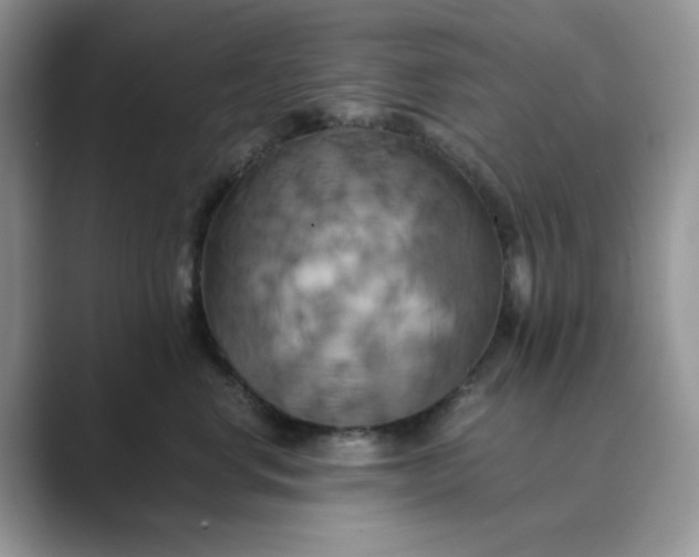 X0000089730668200707051740
