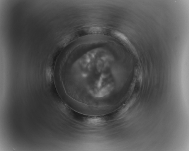X0000089730669200707051740