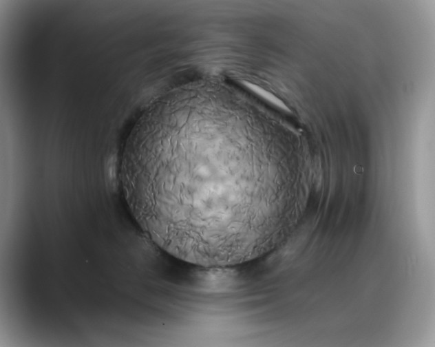 X0000089730670200707051740