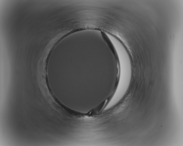 X0000089730673200707051739