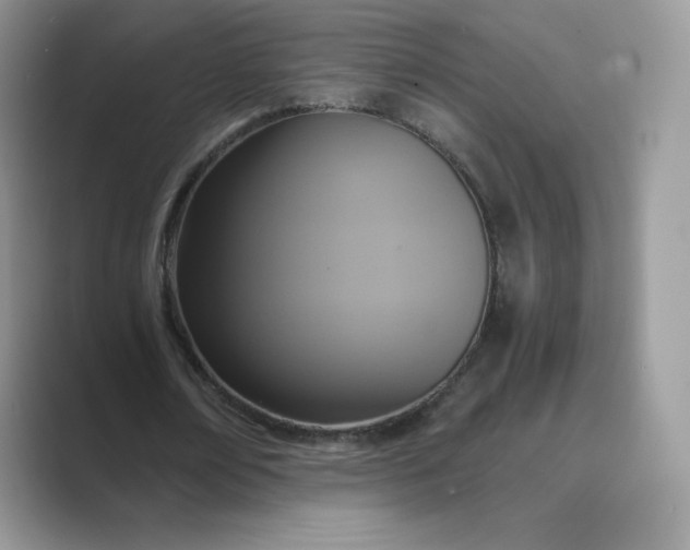 X0000089730674200707051739