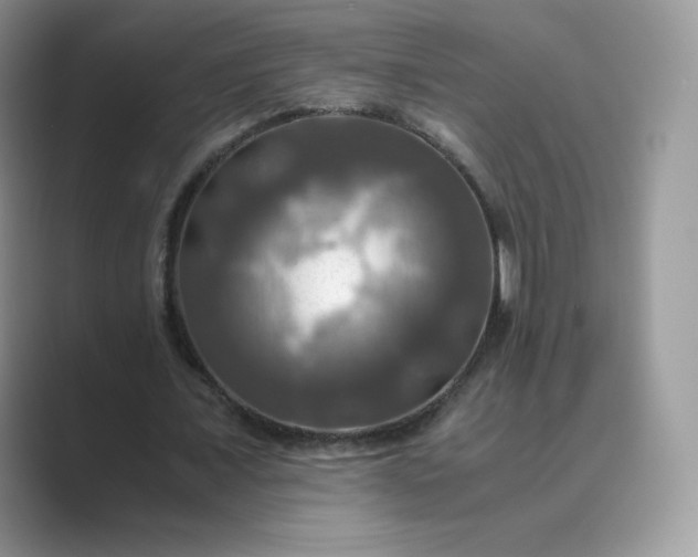 X0000089730675200707051739