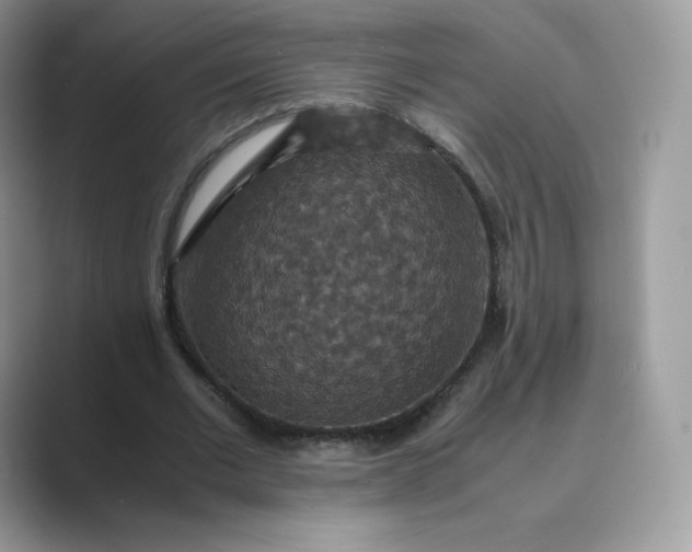 X0000089730677200707051739