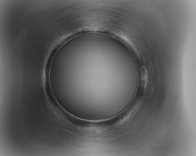 X0000089730678200707051739