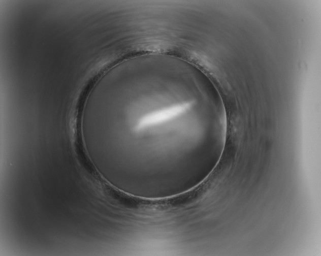 X0000089730679200707051739