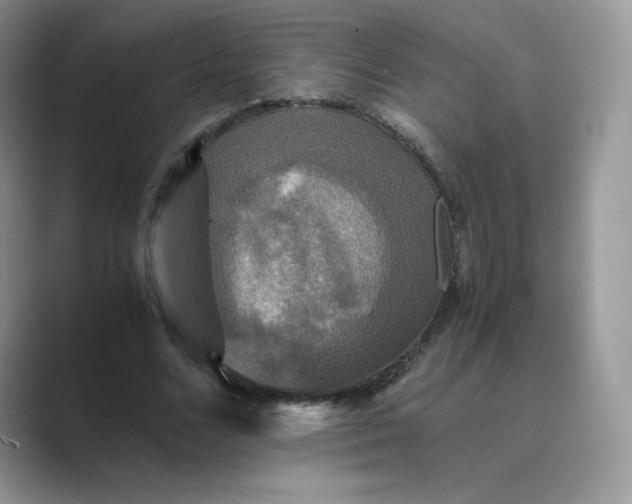 X0000089730680200707051739