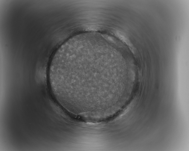 X0000089730681200707051739