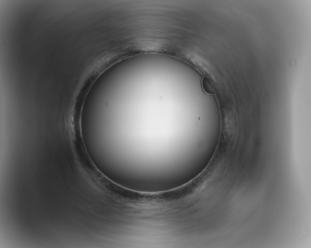 X0000089730682200707051739