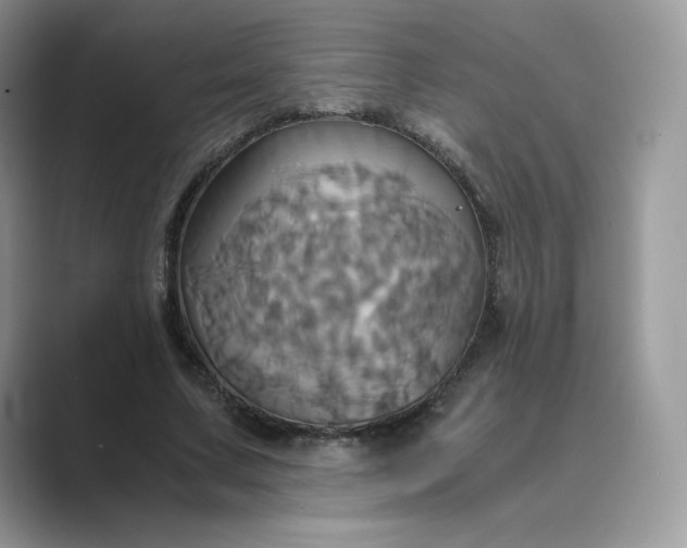 X0000089730683200707051739