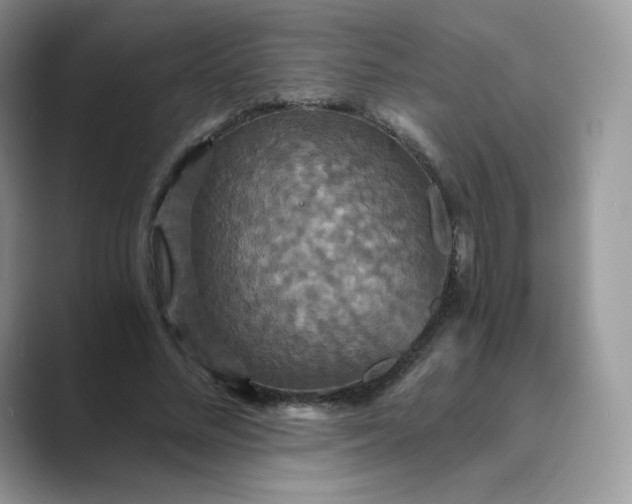 X0000089730684200707051739