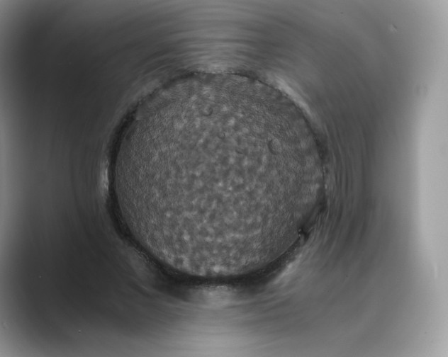 X0000089730685200707051739
