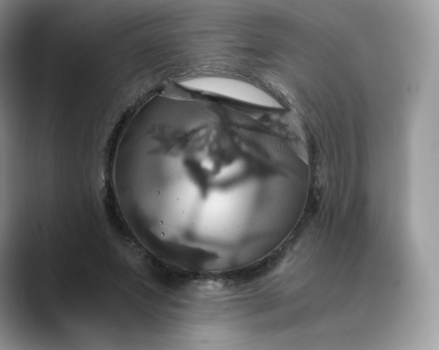 X0000089730687200707051739