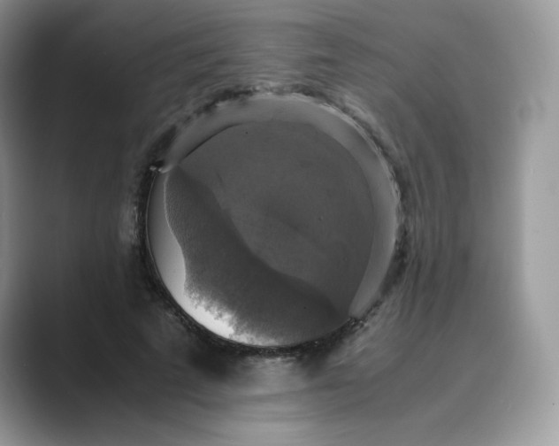 X0000089730689200707051739