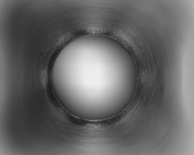 X0000089730690200707051739