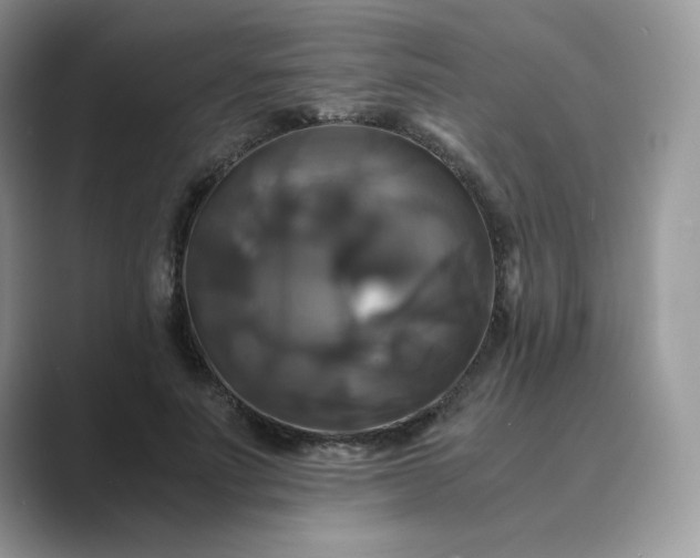 X0000089730691200707051739