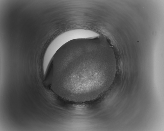 X0000089730693200707051739