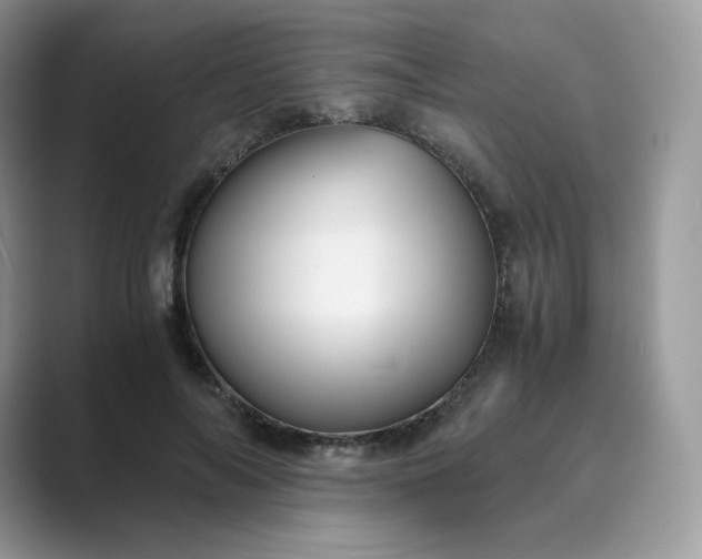 X0000089730694200707051739
