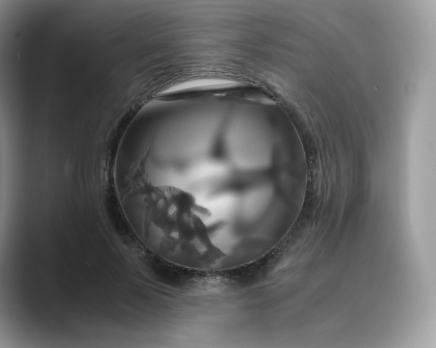 X0000089730695200707051739