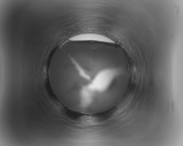 X0000089730699200707051739