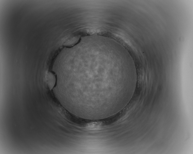 X0000089730700200707051739