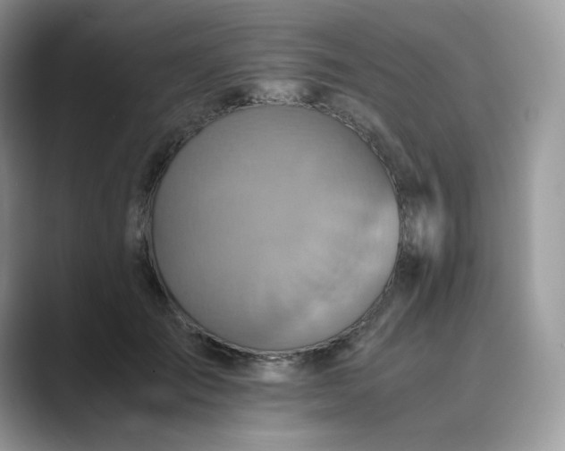 X0000089730701200707051739