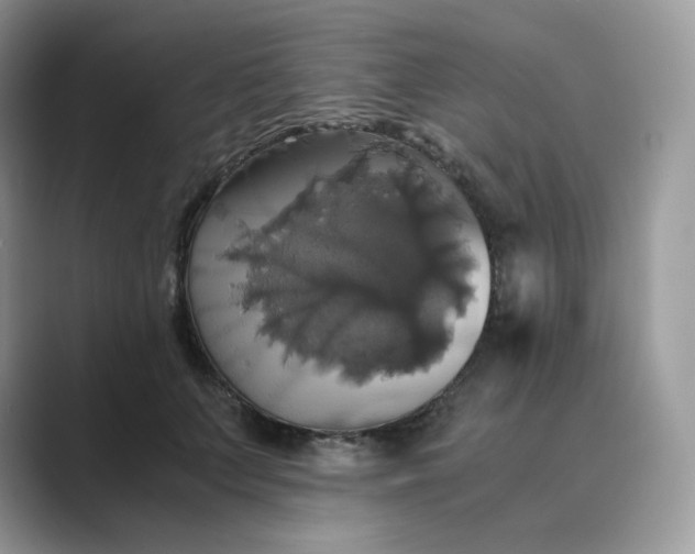 X0000089730703200707051739
