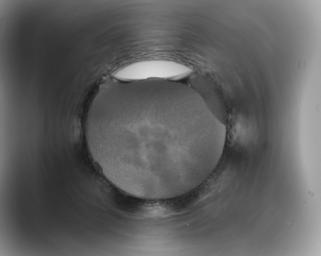 X0000089730704200707051739