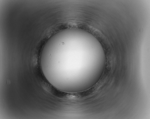 X0000089730706200707051739