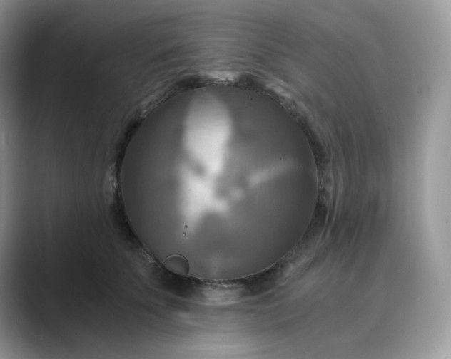 X0000089730707200707051739