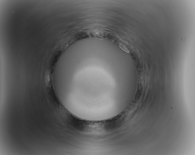 X0000089730709200707051739