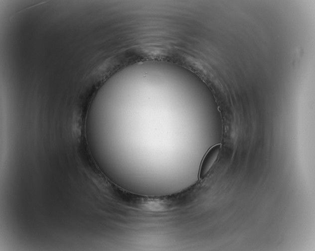 X0000089730710200707051739