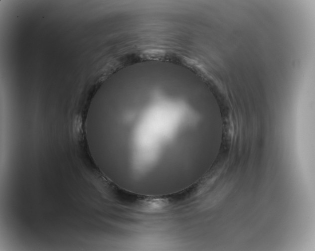 X0000089730711200707051739