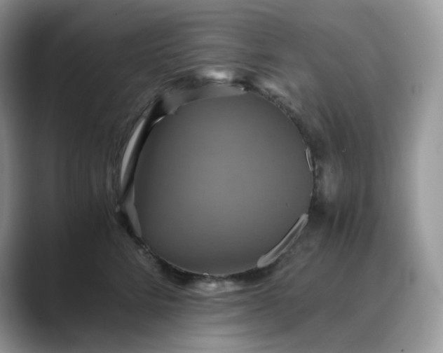 X0000089730712200707051739
