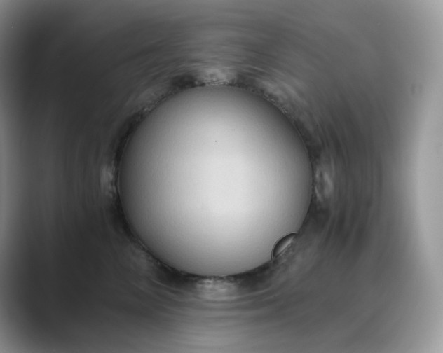 X0000089730714200707051739